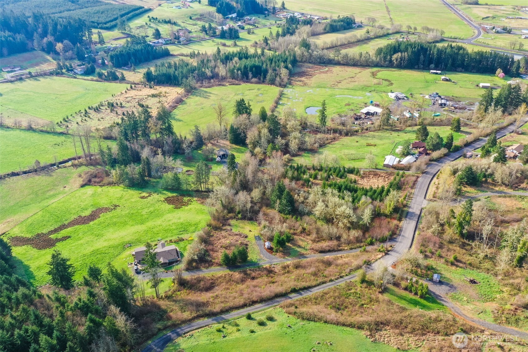 208 Sanderson Road Chehalis, WA 98532 - Photo 23 of 28 a view of a big yard with plants and large trees