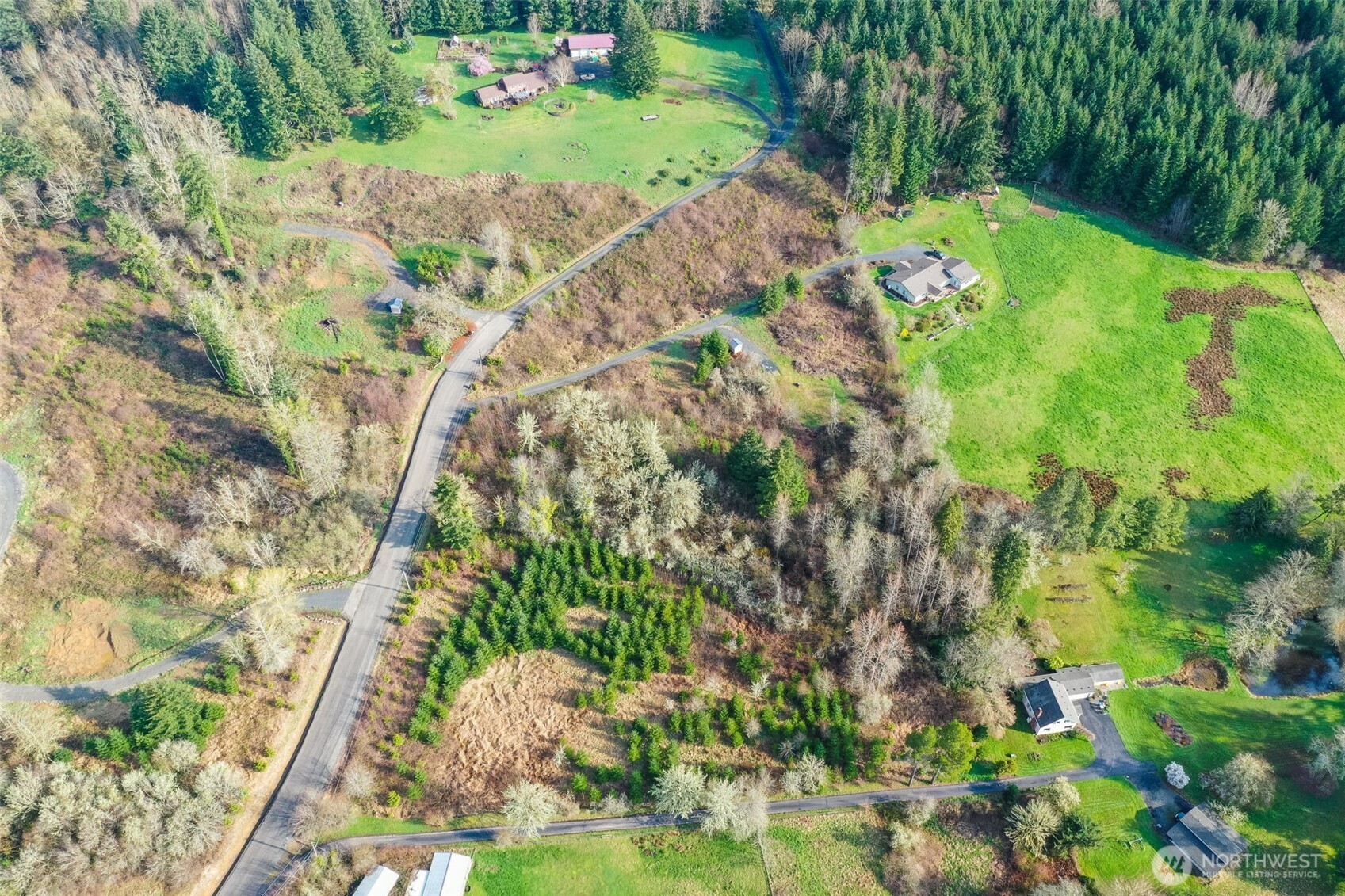 208 Sanderson Road Chehalis, WA 98532 - Photo 27 of 28 a view of a garden with a tree