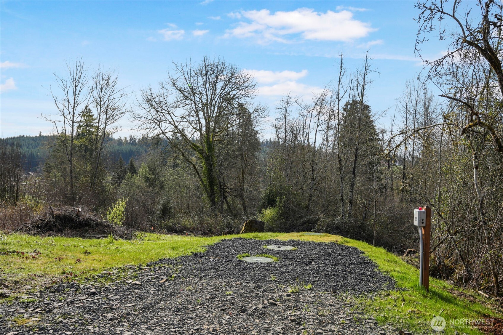208 Sanderson Road Chehalis, WA 98532 - Photo 5 of 28 a view of a yard with palm trees