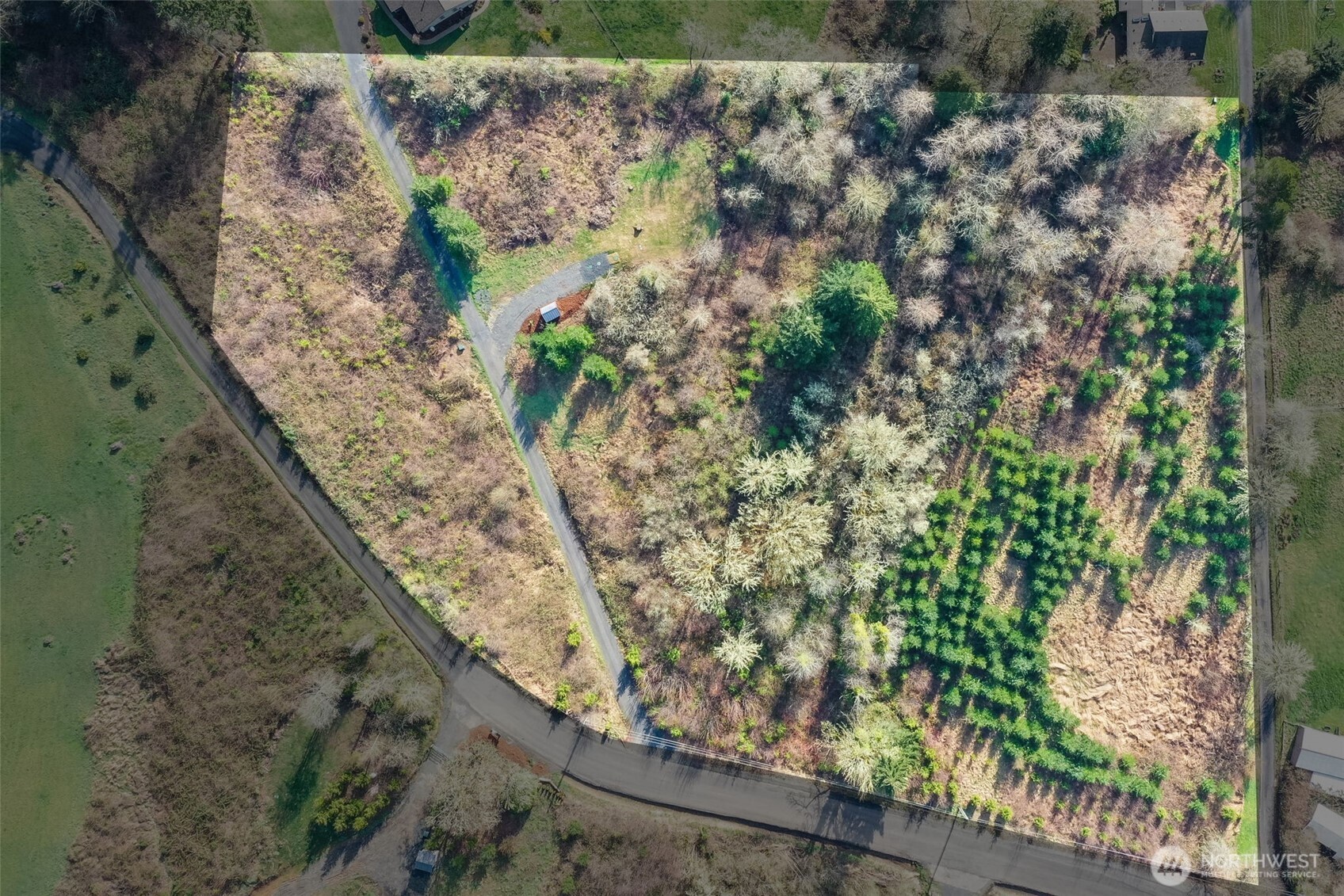 208 Sanderson Road Chehalis, WA 98532 - Photo 8 of 28 a view of a tree with a yard