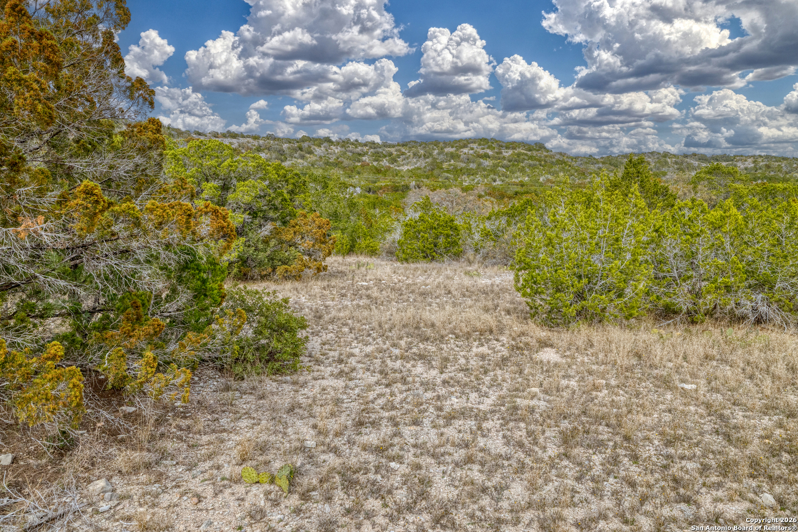 25 Sd 65065 Dusty Rose Ranch Rocksprings, TX 78880 - Photo 11 of 66