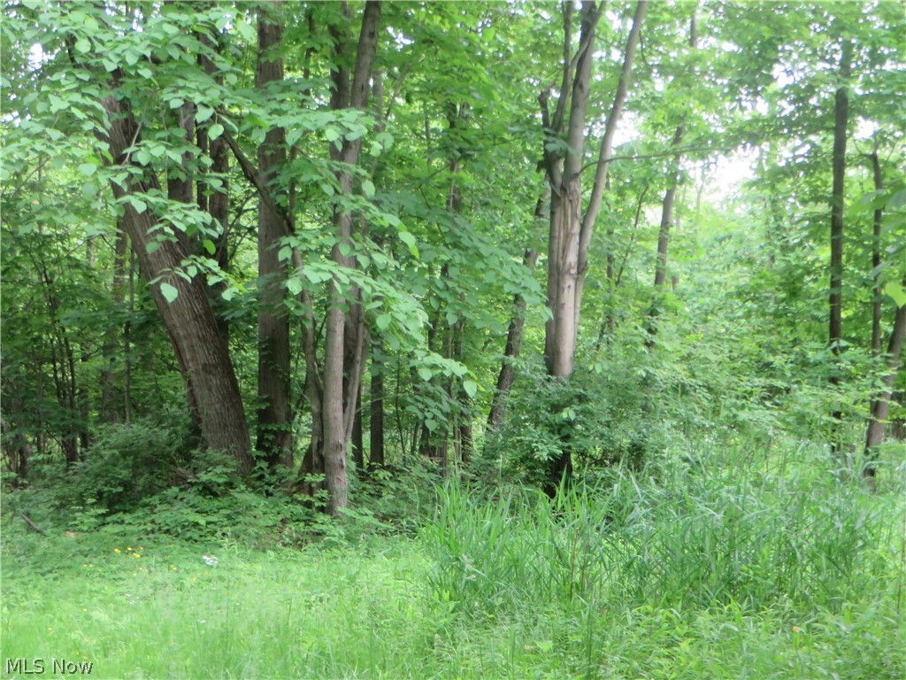 Vl Vl Calhoun & State Line Road Conneaut, OH 44030 - Photo 8 of 14 Gallery Image 8