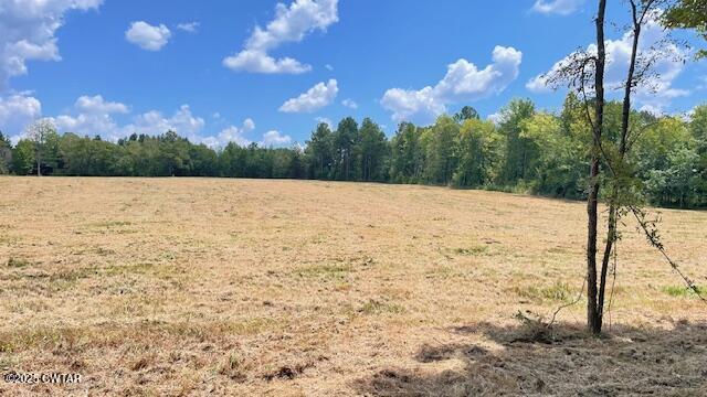 Tract #6 Tract Road Humboldt, TN 38343 - Photo 11 of 30