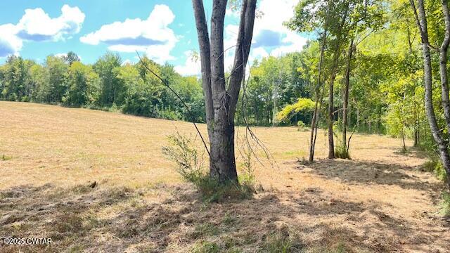 Tract #6 Tract Road Humboldt, TN 38343 - Photo 14 of 30 a view of a yard with trees