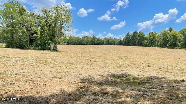 Tract #6 Tract Road Humboldt, TN 38343 - Photo 16 of 30