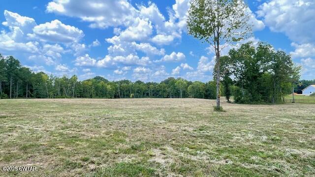 Tract #6 Tract Road Humboldt, TN 38343 - Photo 17 of 30 a view of a big yard