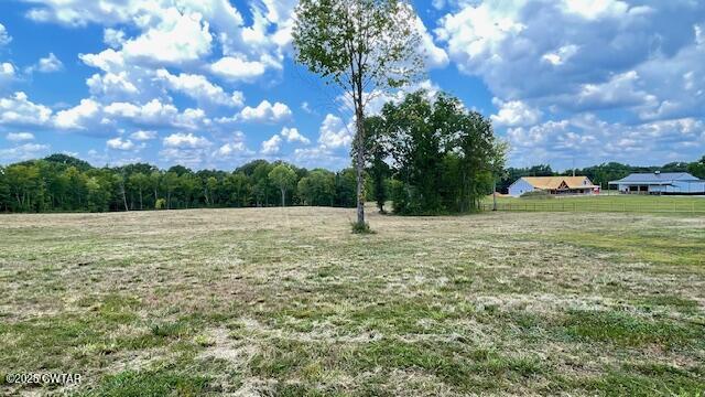Tract #6 Tract Road Humboldt, TN 38343 - Photo 18 of 30 a backyard of a house with lots of green space