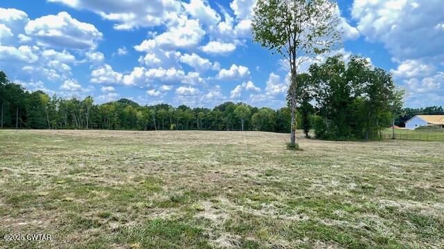 Tract #6 Tract Road Humboldt, TN 38343 - Photo 19 of 30 a backyard of a house with lots of green space