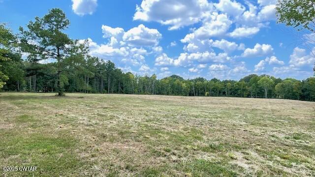 Tract #6 Tract Road Humboldt, TN 38343 - Photo 20 of 30 a backyard of a house with lots of green space