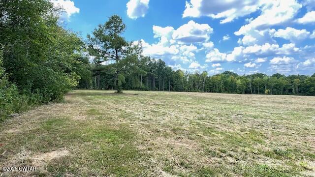Tract #6 Tract Road Humboldt, TN 38343 - Photo 21 of 30 a view of a green field