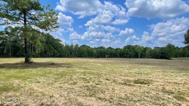 Tract #6 Tract Road Humboldt, TN 38343 - Photo 22 of 30 a view of a lake view
