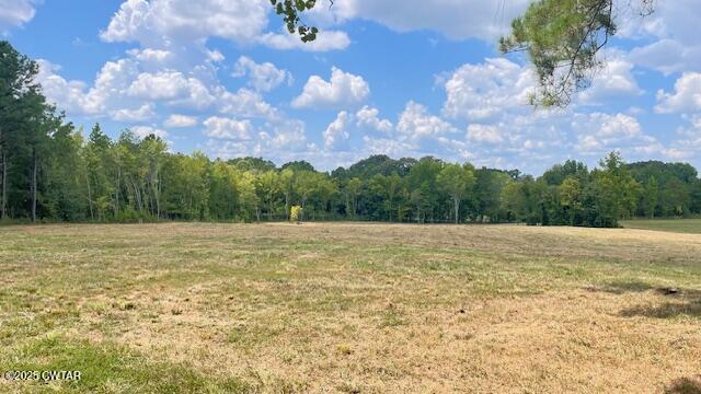 Tract #6 Tract Road Humboldt, TN 38343 - Photo 24 of 30 a view of a lake view