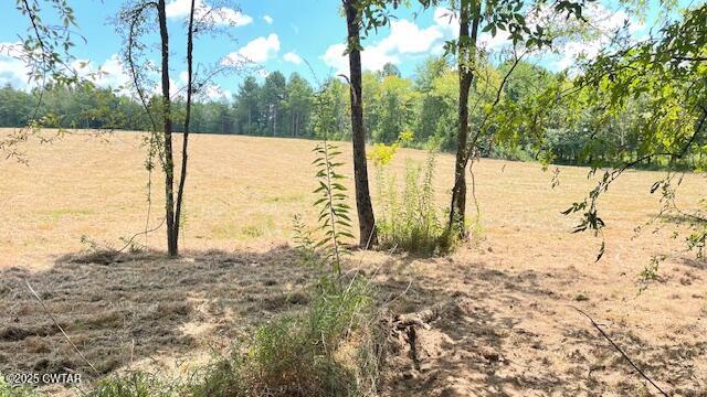 Tract #6 Tract Road Humboldt, TN 38343 - Photo 5 of 30 a view of ocean view