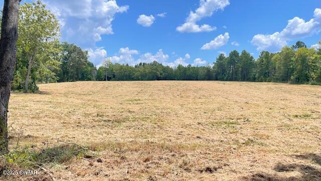 Tract #6 Tract Road Humboldt, TN 38343 - Photo 7 of 30 a view of an ocean beach