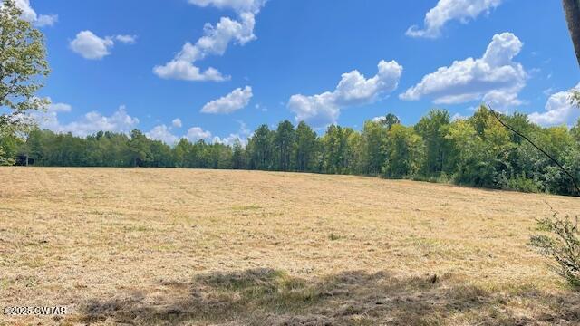 Tract #6 Tract Road Humboldt, TN 38343 - Photo 8 of 30 a view of a lake