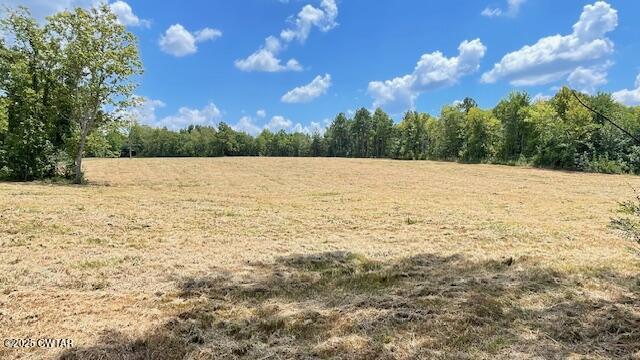 Tract #6 Tract Road Humboldt, TN 38343 - Photo 9 of 30