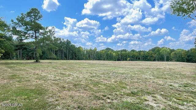 Tract #6 Tract Road Humboldt, TN 38343 - Photo 10 of 30 a view of a yard