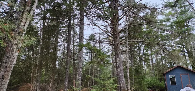 $29,900 | 52 Harls Camp Road, Jonesboro, ME 04634