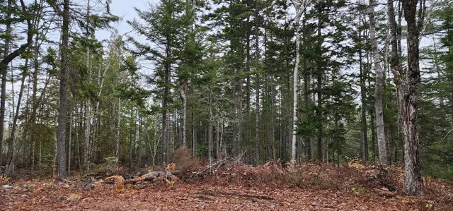 $29,900 | 52 Harls Camp Road, Jonesboro, ME 04634