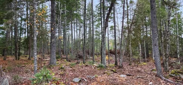 $29,900 | 52 Harls Camp Road, Jonesboro, ME 04634