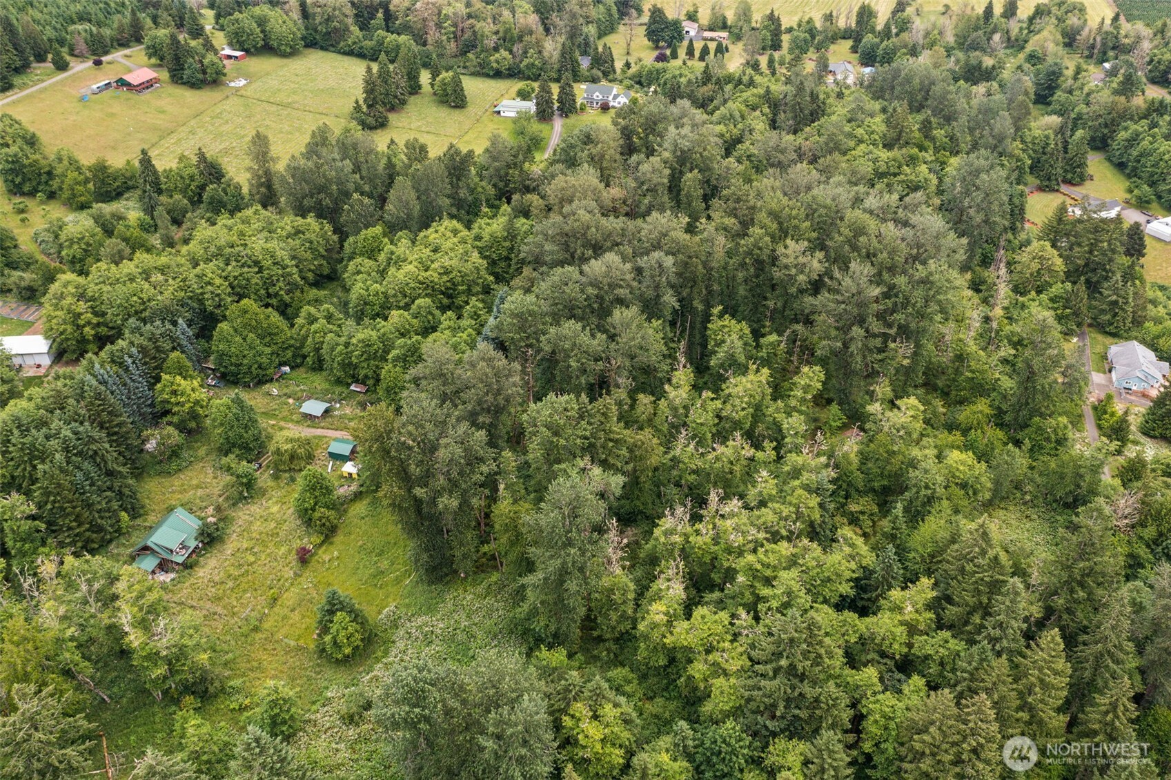 -xxx Harmony Road Mossyrock, WA 98564 - Photo 10 of 19
