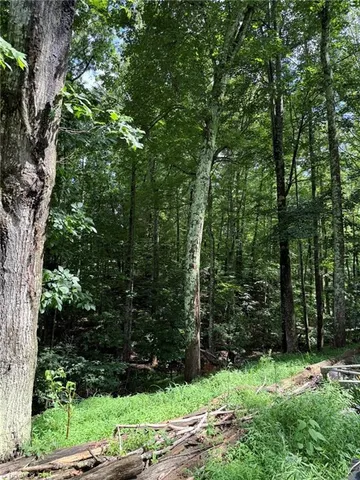 $26,000 | Lot 4-5 Sideview Ln Mount, Mount Airy, NC 27030