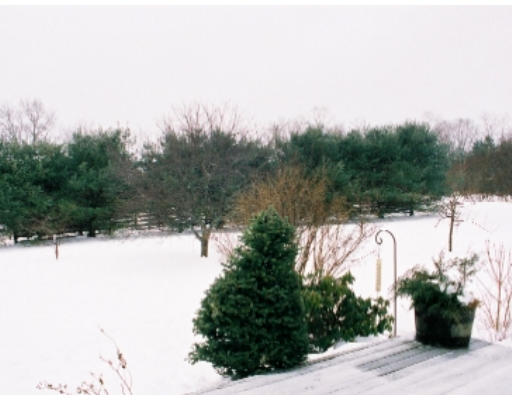 5 Upland Road Ipswich, MA 01938 - Photo 9 of 10 a view of a yard with mountain view