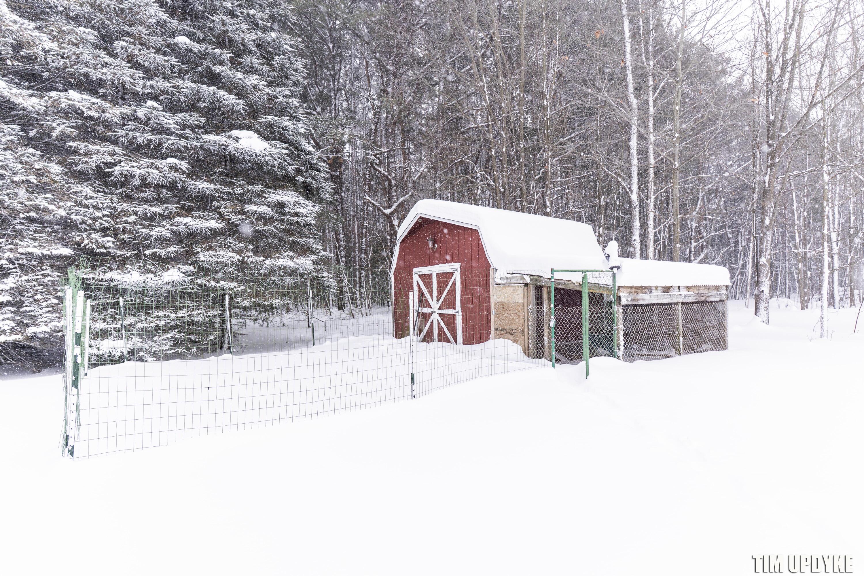 577 West Bard Road Muskegon, MI 49445 - Photo 40 of 44 DSC05722