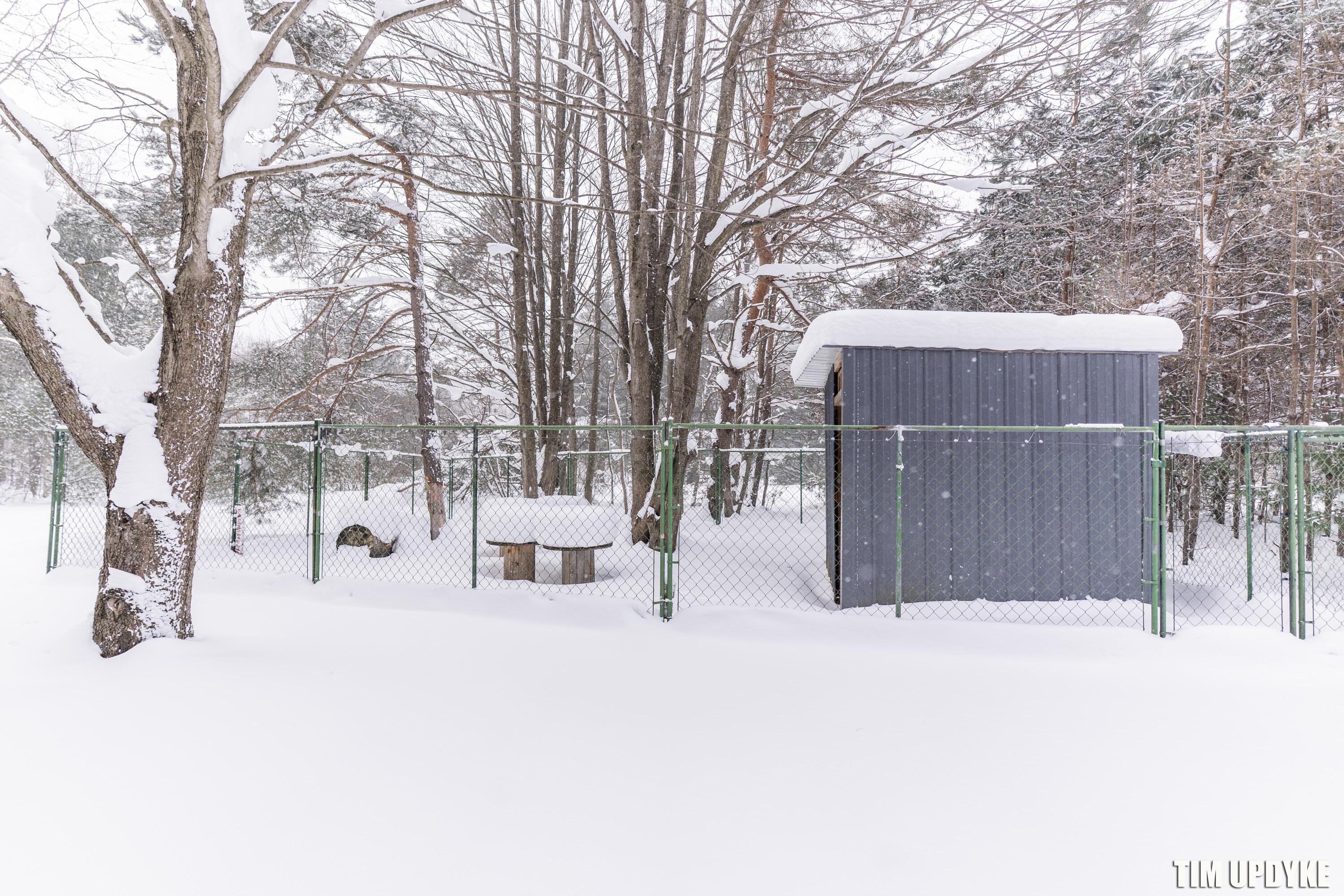 577 West Bard Road Muskegon, MI 49445 - Photo 43 of 44 DSC05725