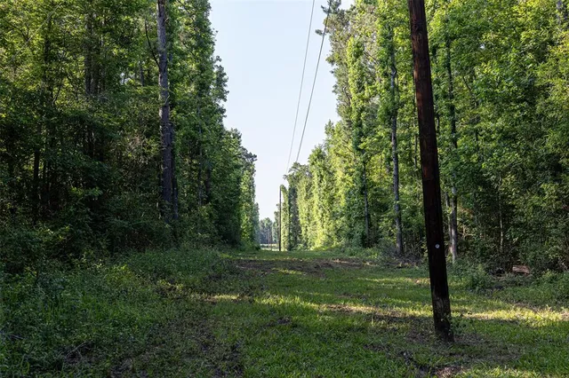 $588,973 | 329 County Road 2804, Alto, TX 75925