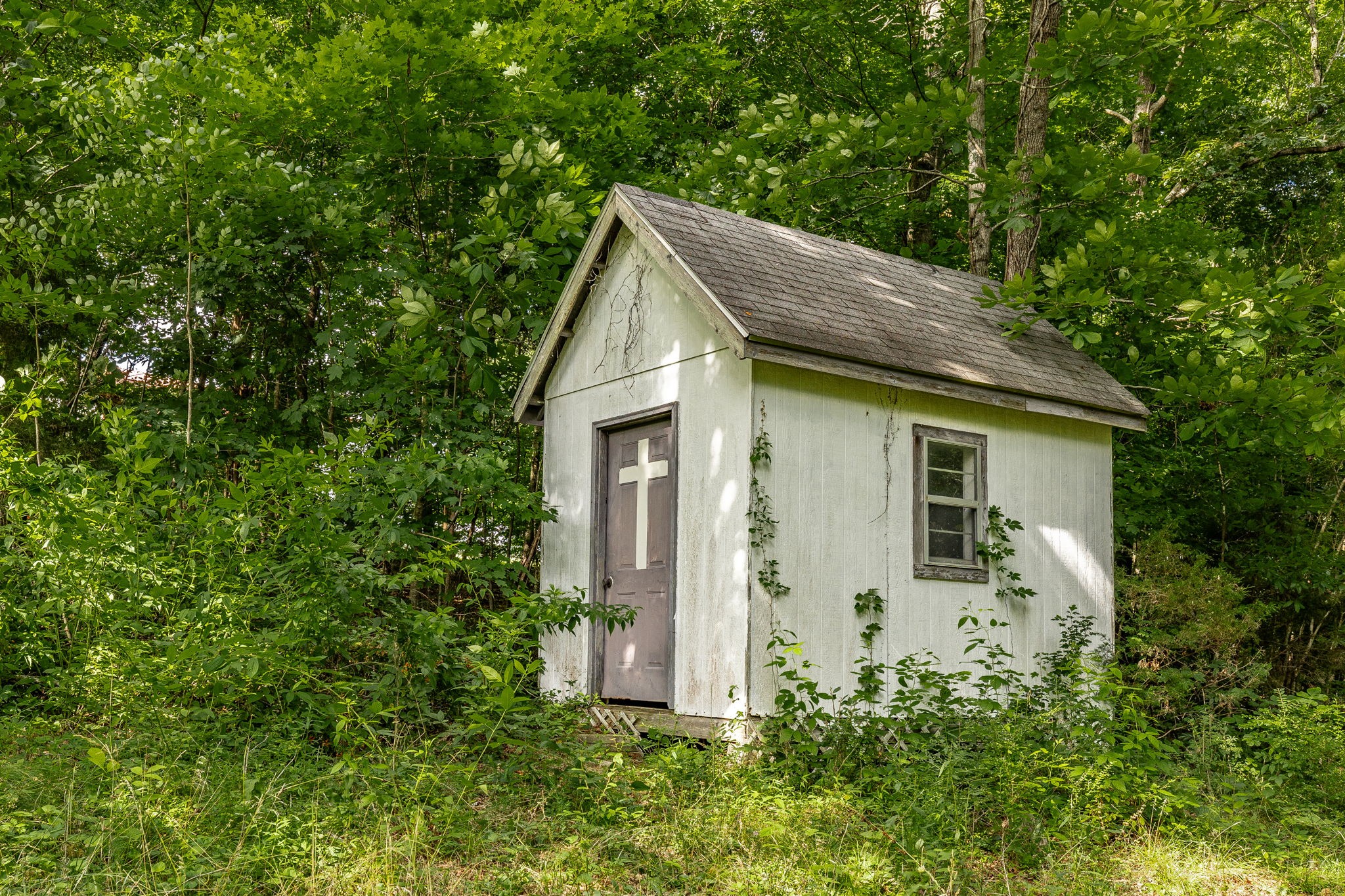 2076 Martins Chapel Church Road Springfield, TN 37172 - Photo 41 of 42