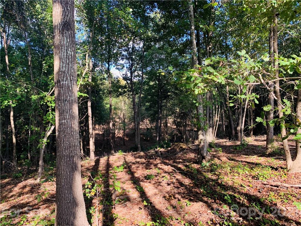 8800 County Line Road, Unit 4 Mount Pleasant, NC 28124 - Photo 1 of 9 Gallery Image 1