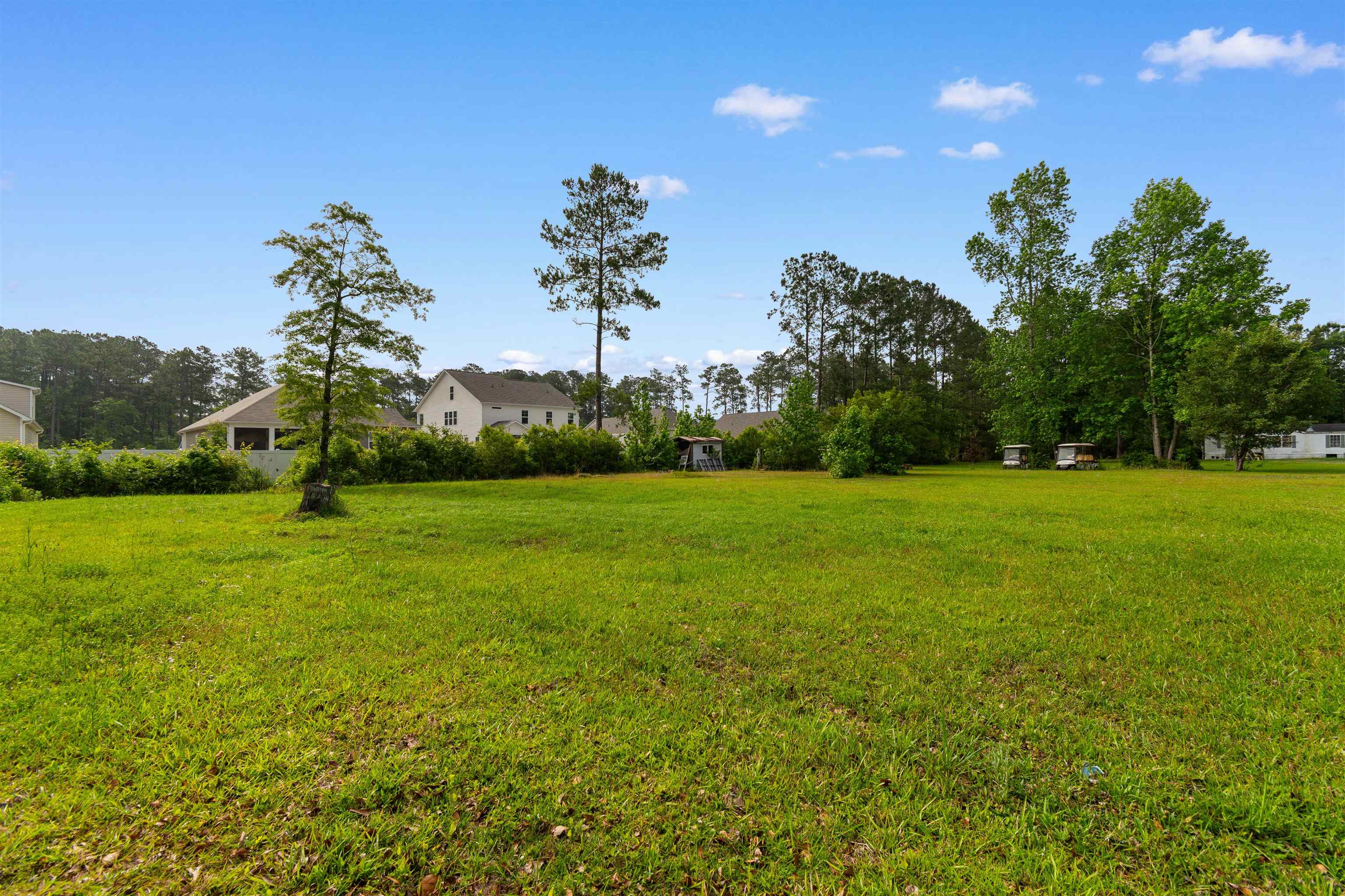 3238 Daisy Road Loris, SC 29569 - Photo 1 of 17