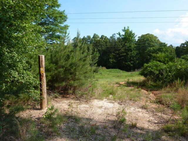 0 Harmon Road, Unit TRACT 4 Temple, GA 30179 - Photo 1 of 1 a backyard of a house with lots of green space