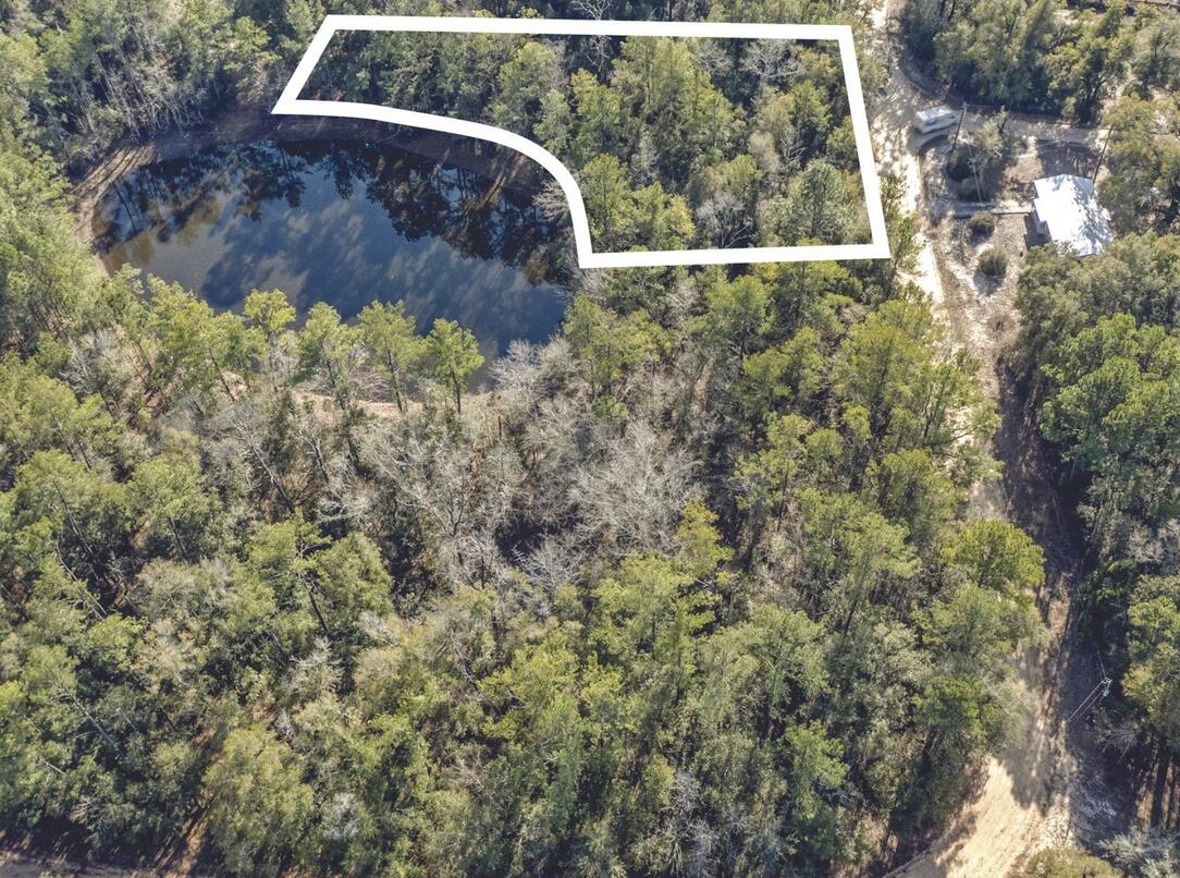 Lot 30 Blue Creek Road Ponce de Leon, FL 32455 - Photo 11 of 12 a view of a yard with large trees