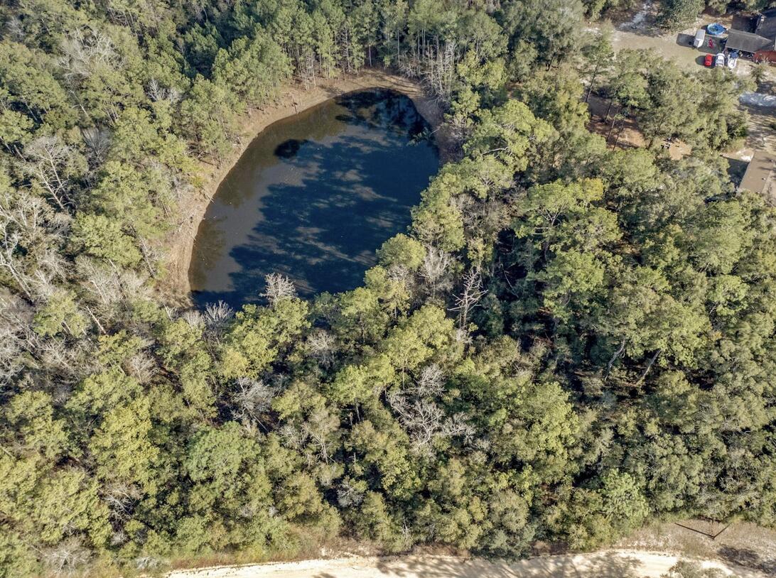 Lot 30 Blue Creek Road Ponce de Leon, FL 32455 - Photo 12 of 12 a aerial view of a house with a yard and large tree