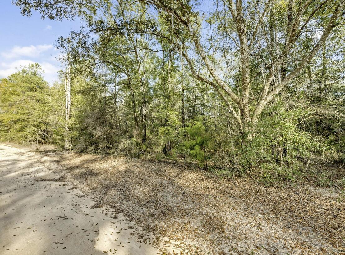Lot 30 Blue Creek Road Ponce de Leon, FL 32455 - Photo 4 of 12 a view of a yard with a tree