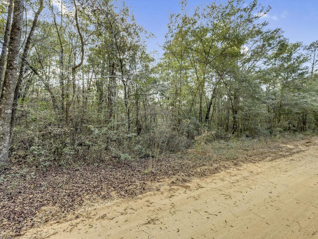 Lot 30 Blue Creek Road Ponce de Leon, FL 32455 - Photo 6 of 12 a view of a yard with large trees