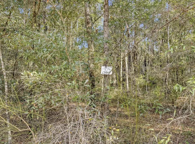 a close view of a shower