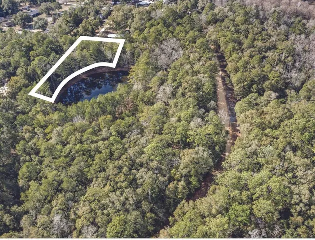 a aerial view of a house with a yard and large tree