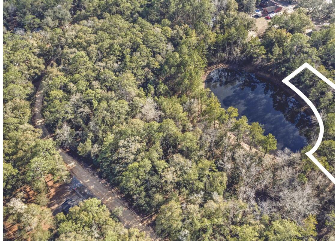 Lot 30 Blue Creek Road Ponce de Leon, FL 32455 - Photo 10 of 12 a view of a forest with a tree