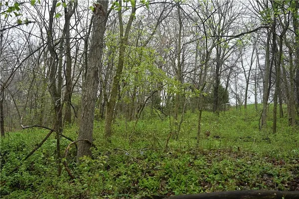 $1,250,000 | Hwy C Highway, Huntsville, MO 65259