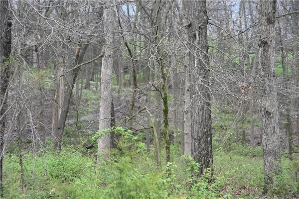 $1,250,000 | Hwy C Highway, Huntsville, MO 65259