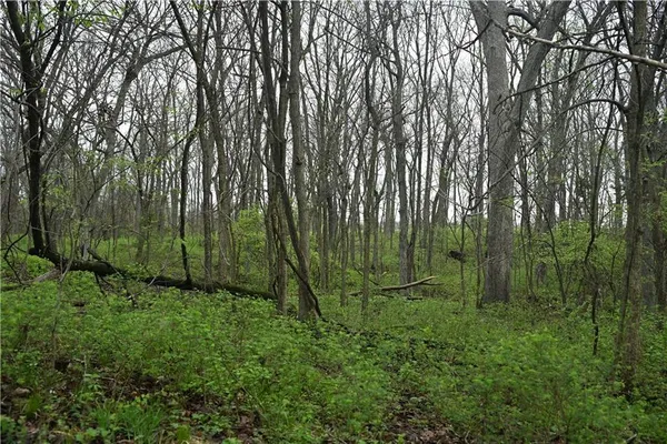 $1,250,000 | Hwy C Highway, Huntsville, MO 65259