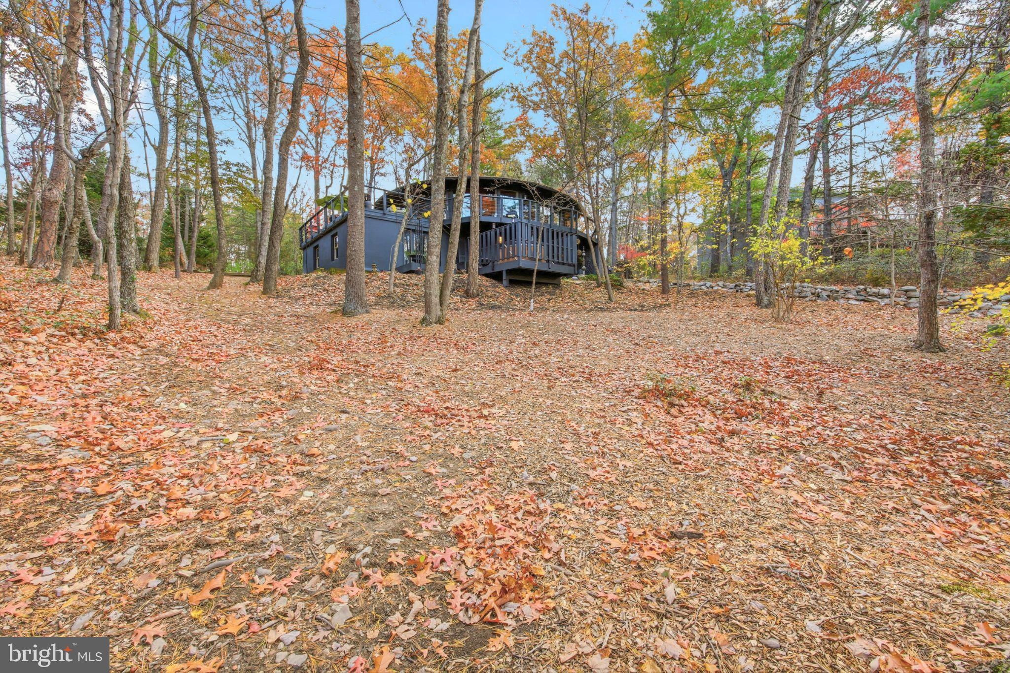 103 Killmon Road Basye, VA 22810 - Photo 53 of 63 Serene retreat amid vibrant autumn hues.