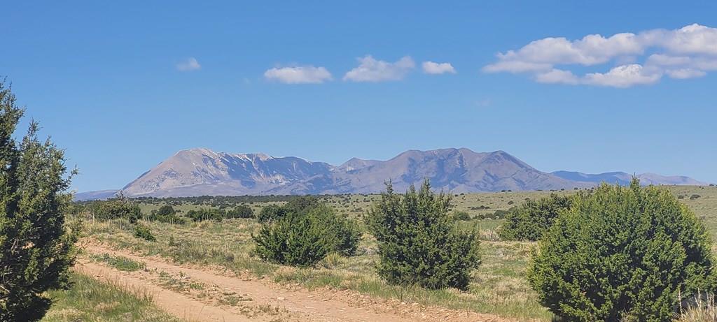 97 Rio Cucharas Walsenburg, CO 81089 - Photo 7 of 8 Gallery Image 7
