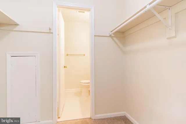 a bathroom with a toilet a sink a vanity and mirror