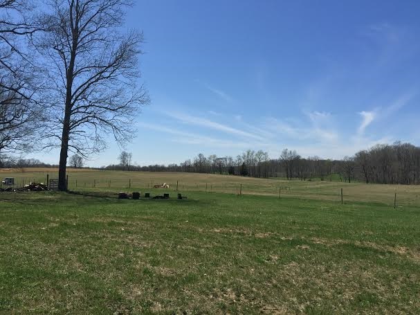 1763 North Pike Road Bedford, IN 47421 - Photo 23 of 29 Gallery Image 23