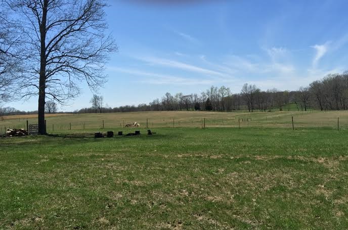 1763 North Pike Road Bedford, IN 47421 - Photo 29 of 29 Gallery Image 29