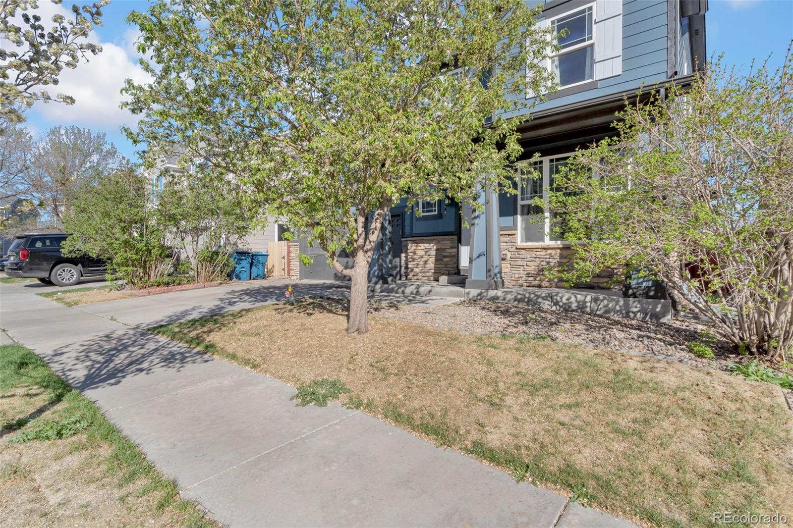 10656 Racine Circle Commerce City, CO 80022 - Photo 28 of 39 a view of a yard with plants and trees